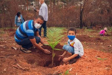 Pico do Amor recebe 173 mudas nativas de presente no aniversário de Itabira