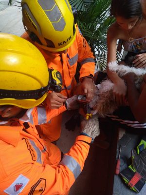 Cachorrinha é socorrida em Belo Horizonte