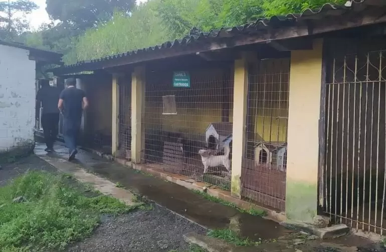Após denúncias de voluntários no Canil Municipal, Câmara realizará audiência pública para cobrar o Executivo