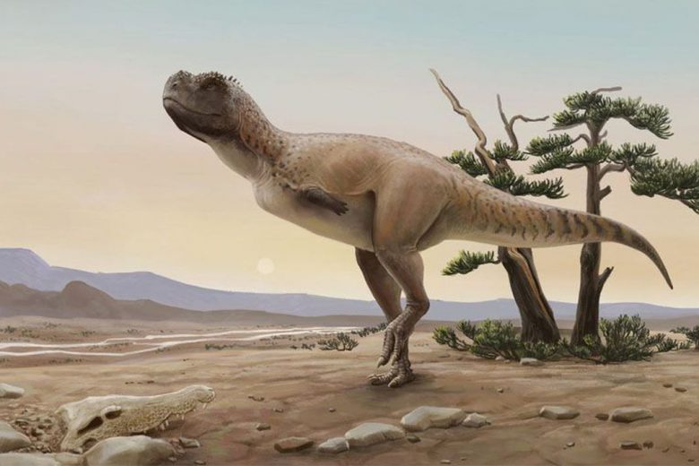 Nova espécie de dinossauro carnívoro é descoberta em São Paulo
