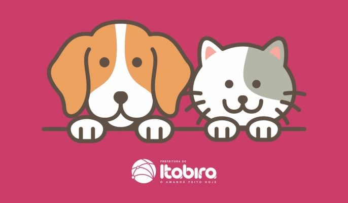 Itabira terá 1º Mutileish e campanha de adoção de cães e gatos