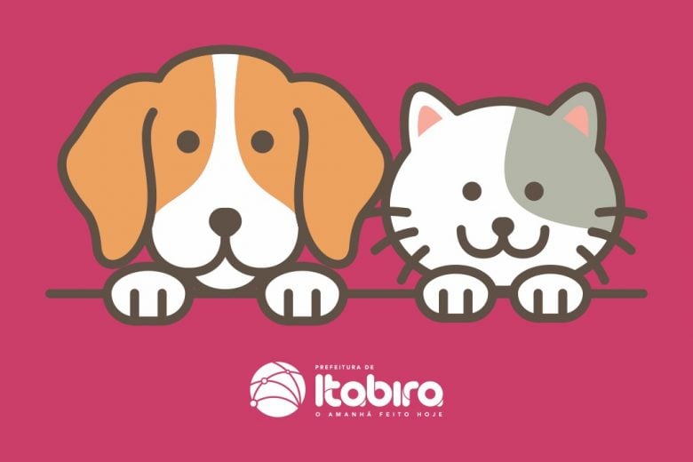 Itabira terá 1º Mutileish e campanha de adoção de cães e gatos