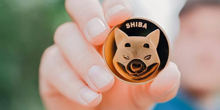 Shiba Inu: a criptomoeda teve crescimento semanal de 140% e é a terceira mais buscada no Google