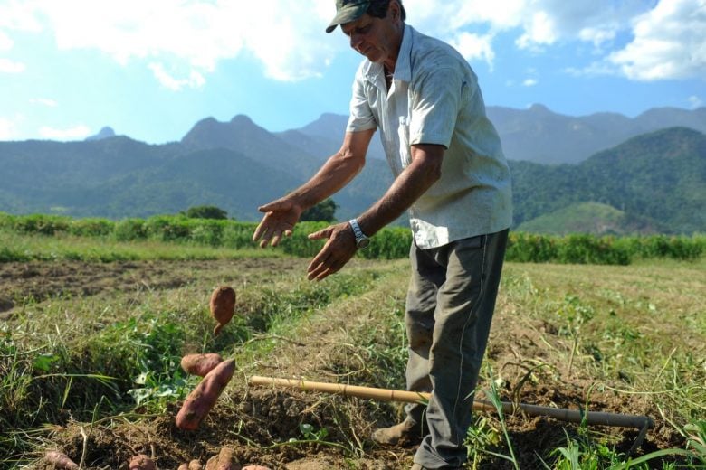 Projetos de agricultura sustentável vão receber US$ 1,2 bi do BID