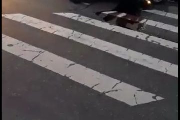 Motorista fica inconsciente depois de bater em árvore na Barão Homem de Melo, em BH