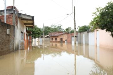 Chuvas em Minas Gerais: estado registra mais duas mortes