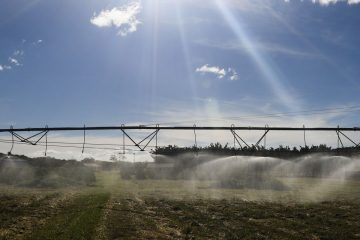 Fatores climáticos levaram à queda do PIB, diz secretaria