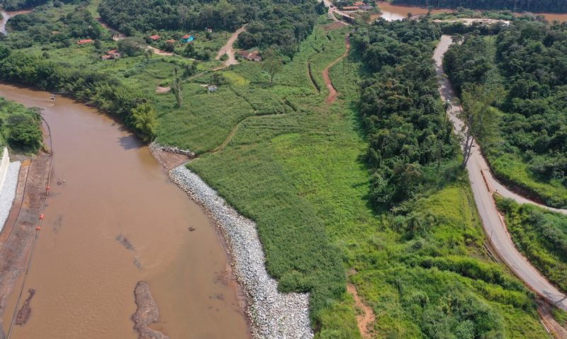 Brumadinho: recuperação é lenta e apenas 8% da área foi reflorestada