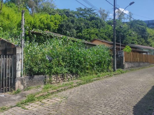 Prefeitura notifica mais de 50 proprietários de lotes sujos em Monlevade no mês de janeiro