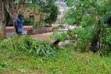 Chuvas em Minas: Ipoema e Senhora do Carmo sofrem com alagamentos