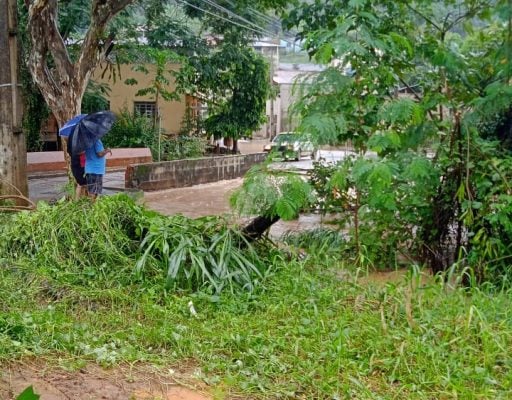 Chuvas em Minas: Ipoema e Senhora do Carmo sofrem com alagamentos