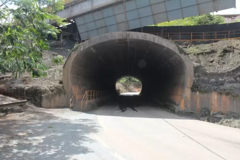 Túnel na estrada para Carmo, Ipoema e Itambé passará por manutenção, informa a Vale