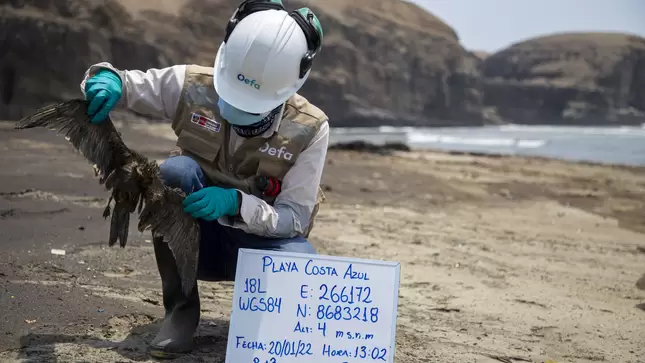 Peru declara emergência após erupção vulcânica no Oceano Pacífico