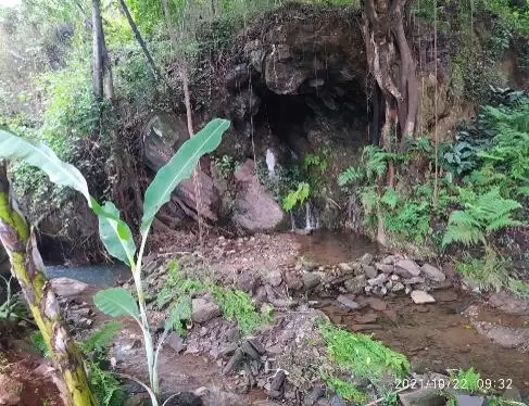 Parque da Água Santa