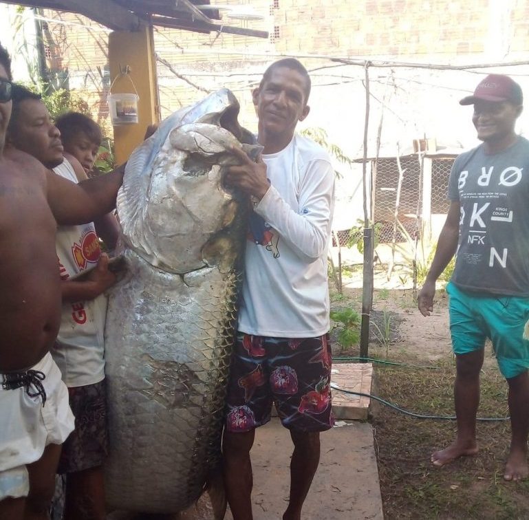 Pescador pega peixe de mais de 100 quilos; assista o vídeo