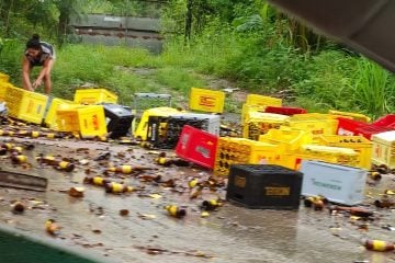 Caminhão carregado com cerveja tomba e tem carga saqueada na BR-381