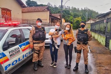 Polícia Militar prende em flagrante homem que maltratava animais de estimação em Monlevade