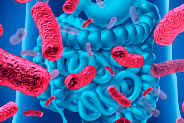 O que é microbiota intestinal e qual a sua importância