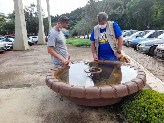 ações contra a dengue