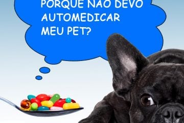 Automedicação de pets sem a orientação do médico veterinário