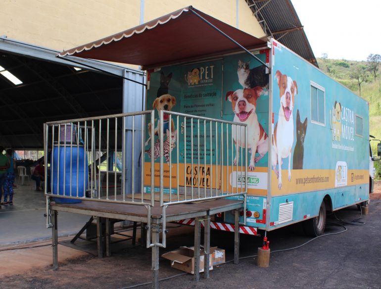 Monlevade promove 130 castrações de cães e gatos