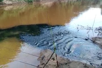 Moradores reclamam de manchas escuras no Rio Piracicaba