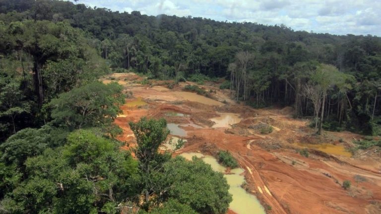 Pará: autoridades reforçam segurança de reserva indígena contra invasão por garimpeiros