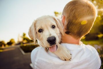 Itabira: sábado é dia de feira de adoção e atividades voltadas à saúde animal