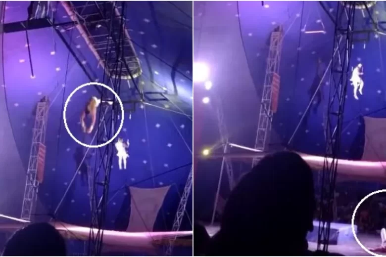Trapezista despenca de uma altura de 3 metros; veja o vídeo