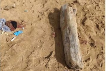 Polícia conclui que jovem abriu a barriga do namorado em Guarapari