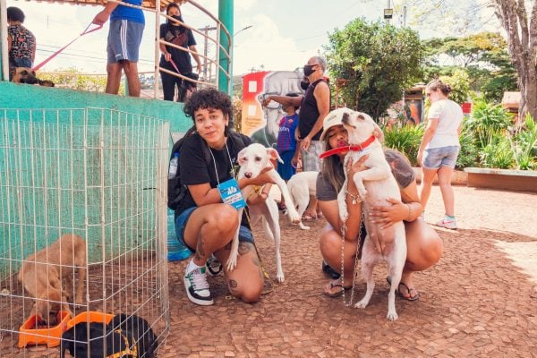 Dia de Cão chama atenção para práticas de bem-estar animal em Itabira