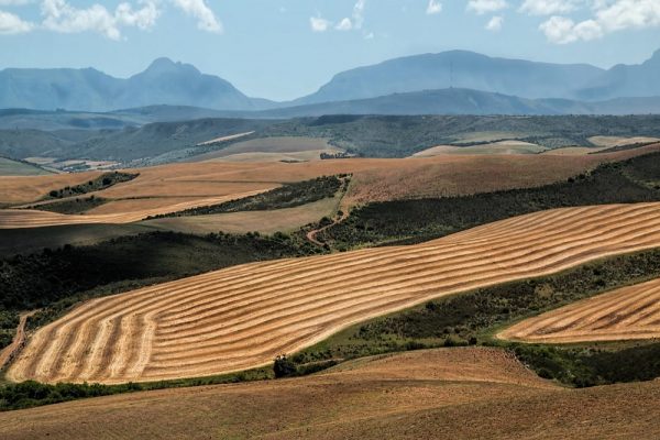 Reino Unido alerta para impacto da guerra para segurança alimentar global