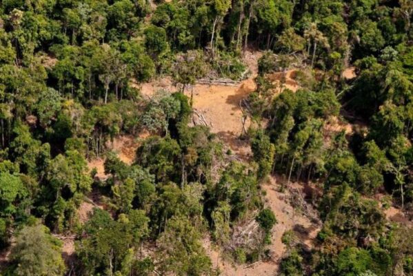 Desmatamento na Amazônia cresce 62% no governo Lula