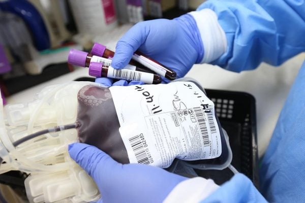 Campanha de doação de sangue será realizada no sábado (8) em Monlevade