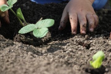 Projeto Produtor de Águas avança para segunda etapa em Mariana