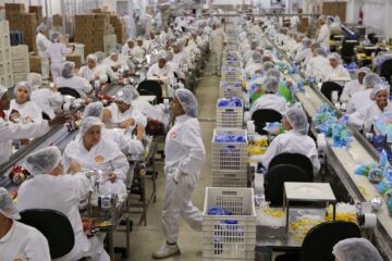Dificuldade de acesso a insumos afeta 22 entre 25 setores da indústria