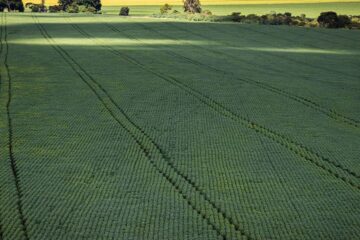 CMN aumenta prazo para análise de pedidos ao Proagro