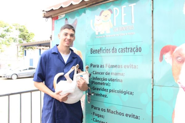 Mutirão de castração de animais segue em Itabira