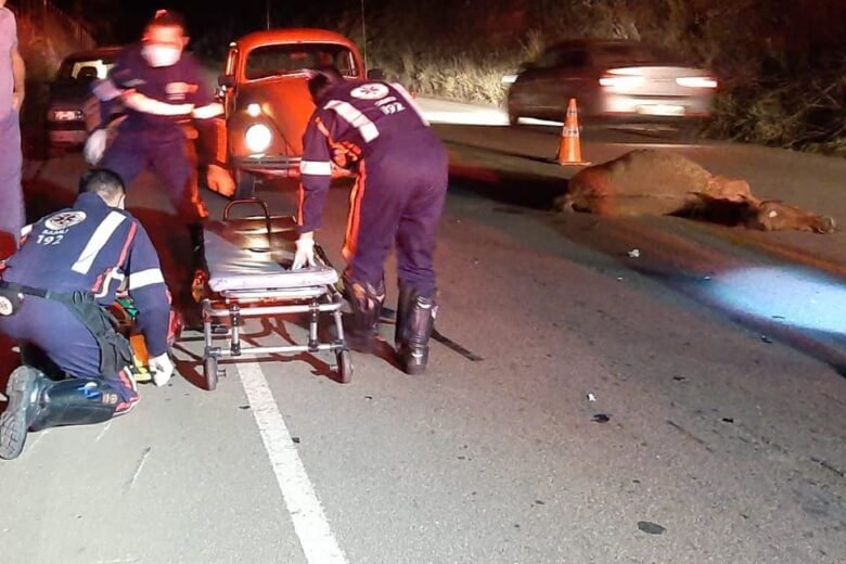 Cavalo na pista causa acidente com motociclista no Barreiro