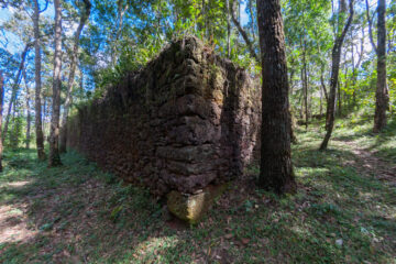 Vale e UFV fecham parceria para oferecer especialização em proteção de sítios arqueológicos