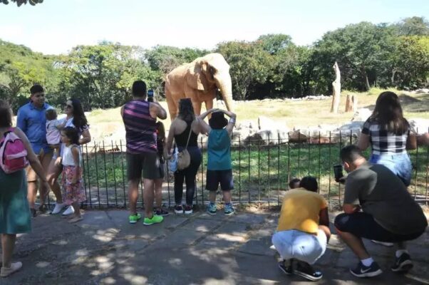 zoológico de bh; funcionamento dos serviços da Prefeitura de Belo Horizonte