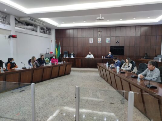 Comissão de Saúde da Câmara de Monlevade realiza terceira reunião com profissionais do setor