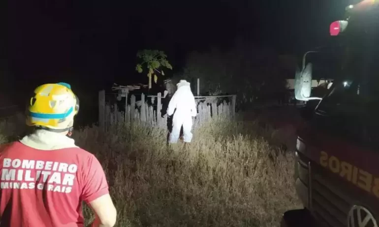 Onze pessoas são vítimas de ataque de abelhas em Minas