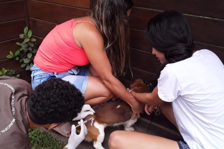 Santana do Paraíso divulga cronograma de vacinação antirrábica
