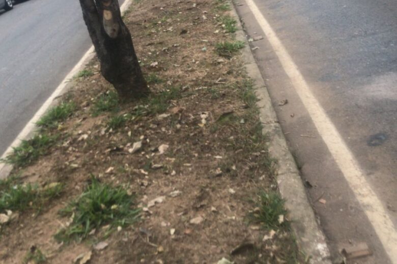 Acidente na Avenida das Rosas deixa motociclista em estado grave