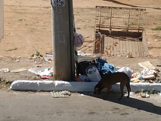 Moradores reclamam de constante despejo de lixo na avenida Getúlio Vargas