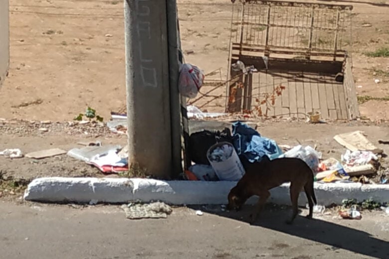 Moradores reclamam de constante despejo de lixo na avenida Getúlio Vargas