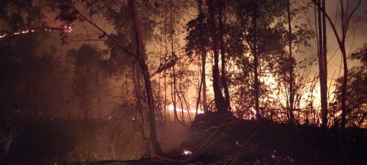 incêndios em Minas Gerais