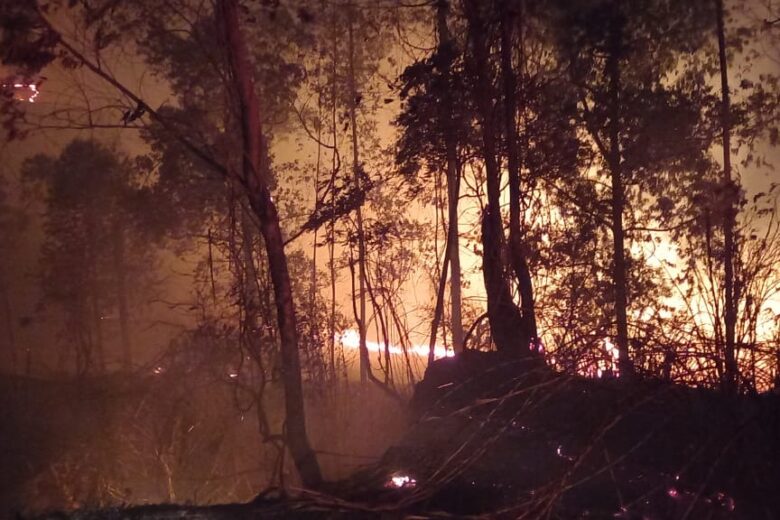 Fogo em Minas Gerais: bombeiros atendem 990 chamadas de incêndios no final de semana