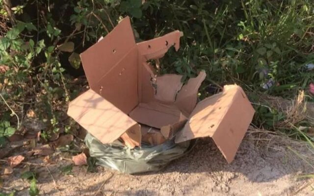 Bebê recém-nascida é abandonada dentro de caixa de papelão em Ipatinga